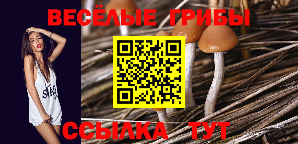 Псилоцибиновые грибы прущие грибы  сколько стоит  Вход с VPN  Лиски  Псилоцибиновые грибы MAGIC MUSHROOMS 